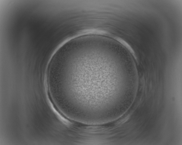 X0000082991391200702081823