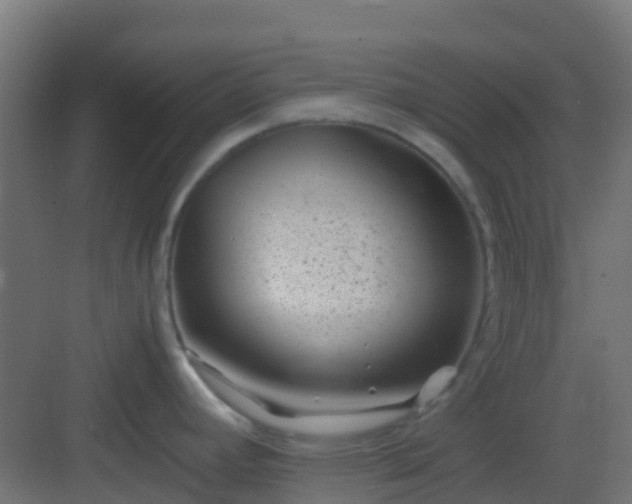 X0000082991392200702081823