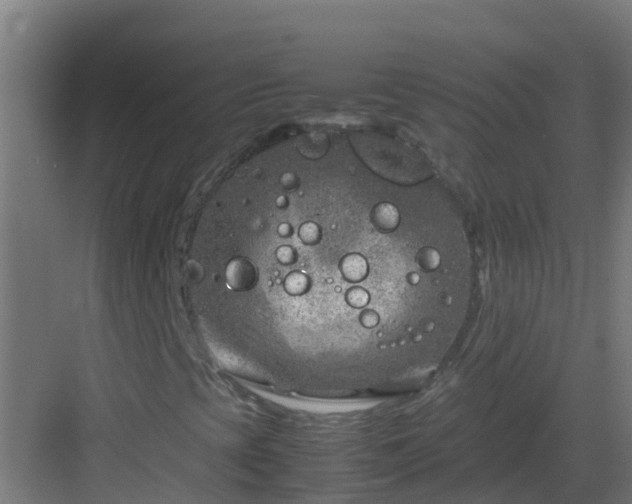 X0000082991393200702081822