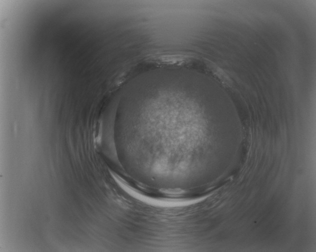 X0000082991394200702081822