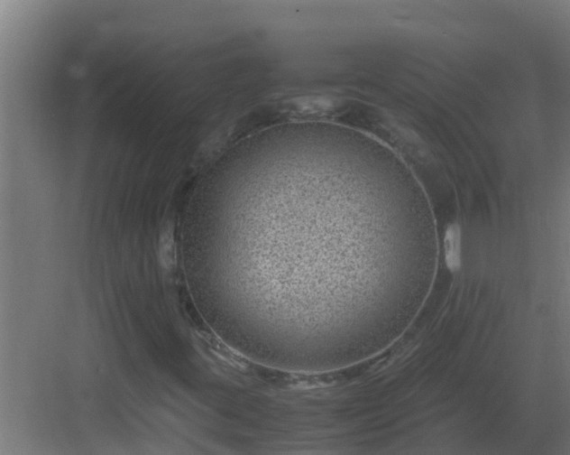 X0000082991395200702081822