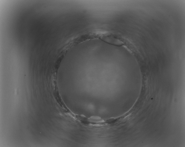 X0000082991397200702081822