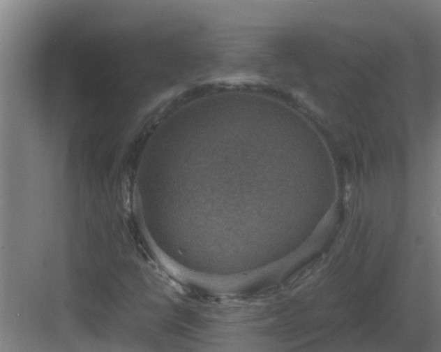 X0000082991398200702081822