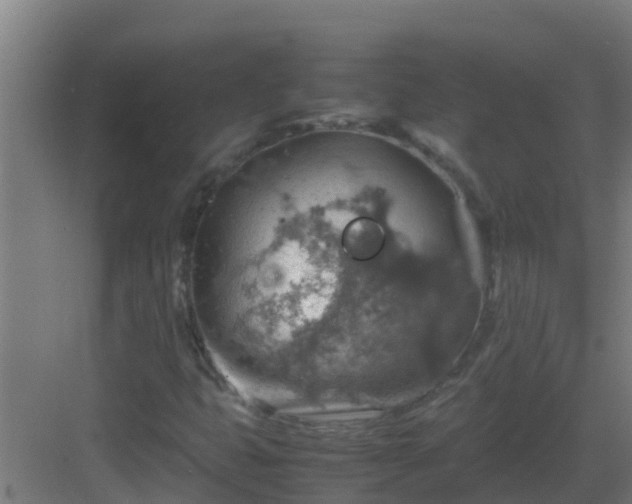 X0000082991399200702081822