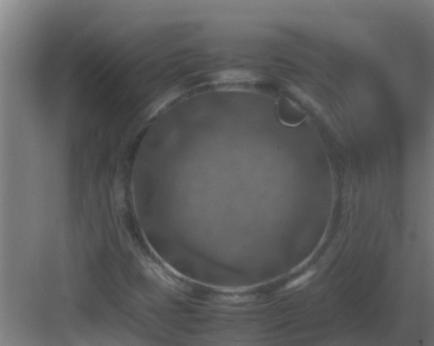 X0000082991401200702081822