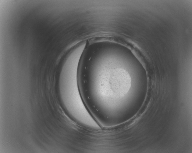 X0000082991402200702081822