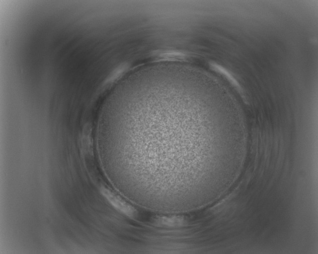 X0000082991403200702081822