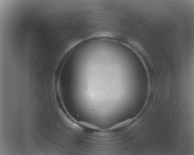 X0000082991404200702081822