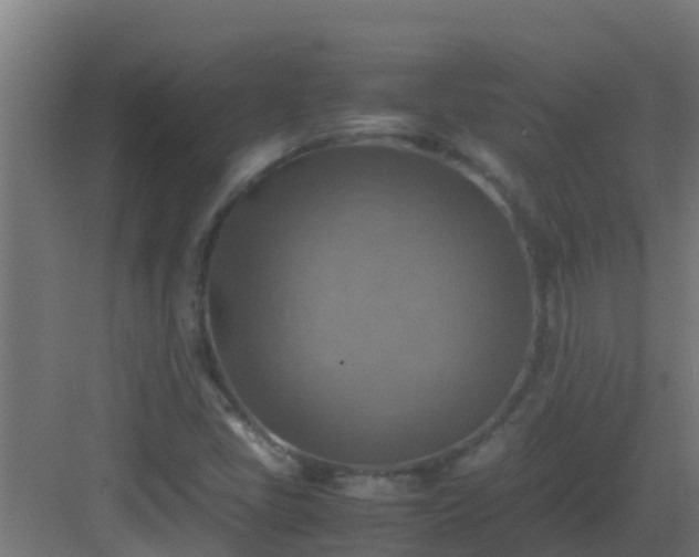 X0000082991405200702081822