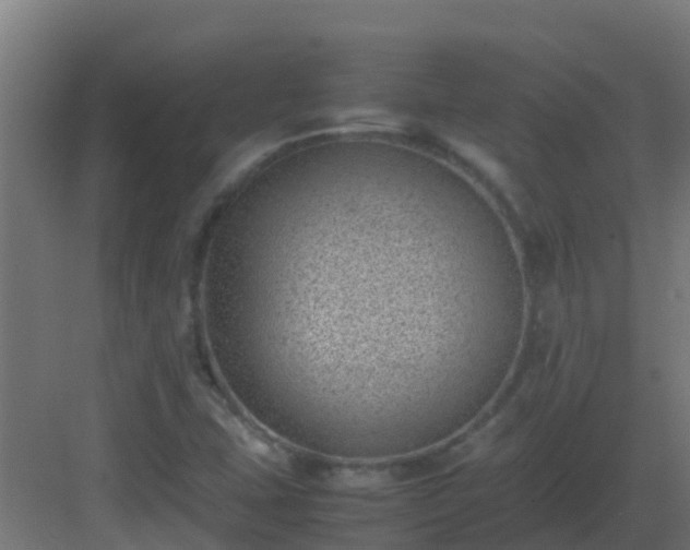 X0000082991407200702081822