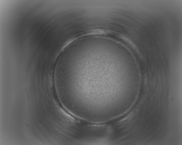 X0000082991409200702081822