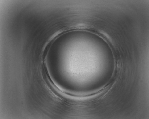 X0000082991410200702081822