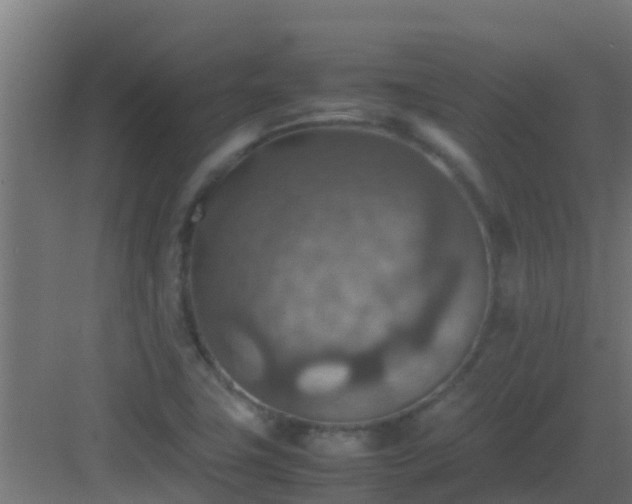 X0000082991411200702081822