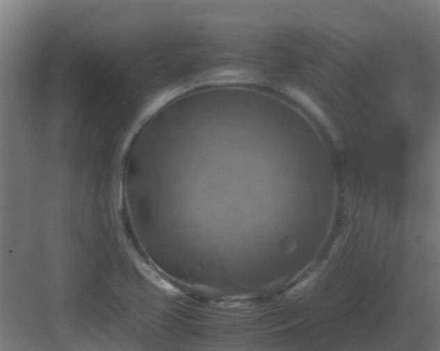 X0000082991413200702081822