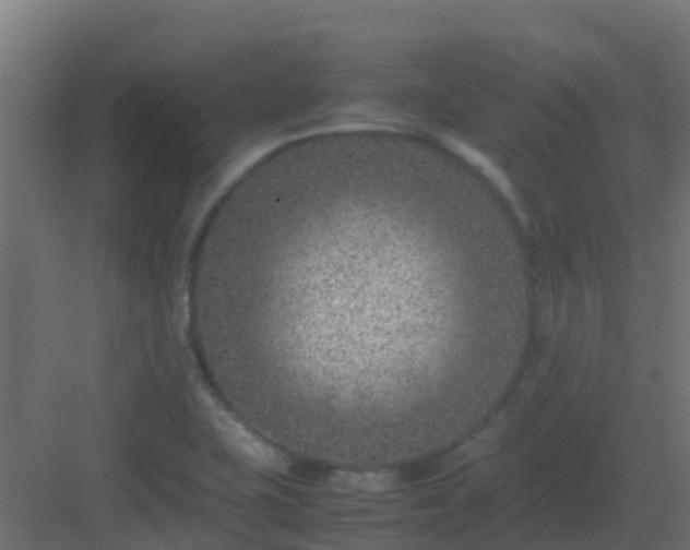 X0000082991415200702081822