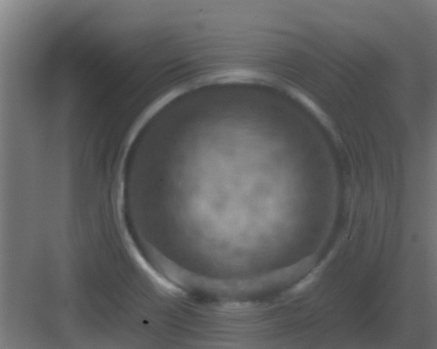 X0000082991418200702081822