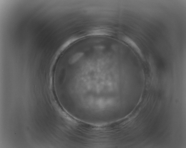 X0000082991419200702081822