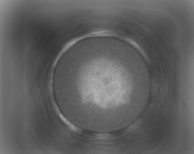 X0000082991421200702081822