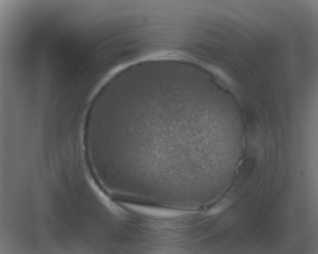 X0000082991422200702081822