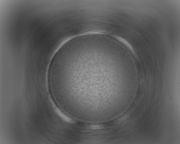 X0000082991423200702081822