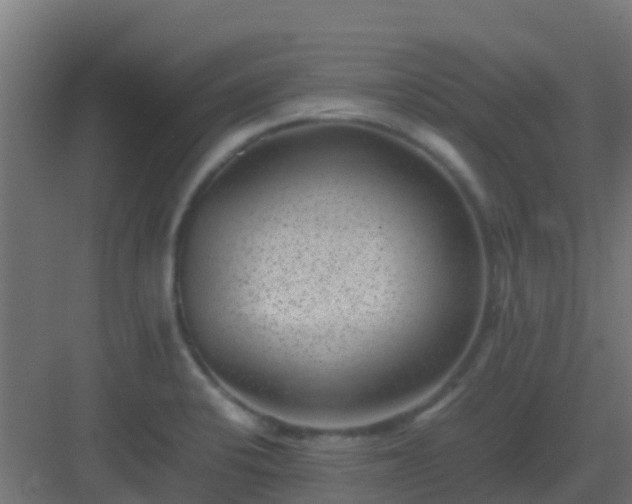 X0000082991424200702081822