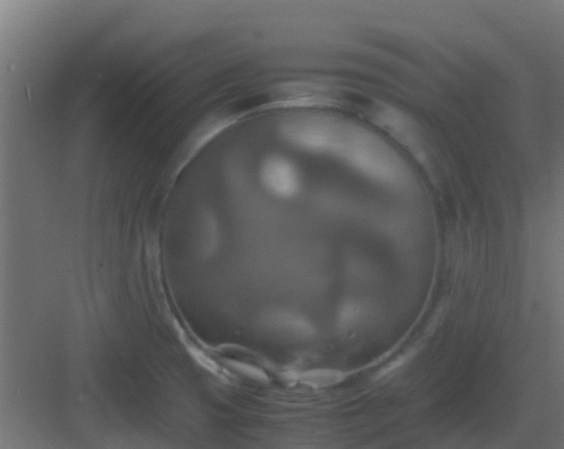 X0000082991425200702081822