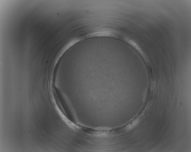 X0000082991426200702081822