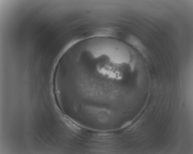 X0000082991427200702081822