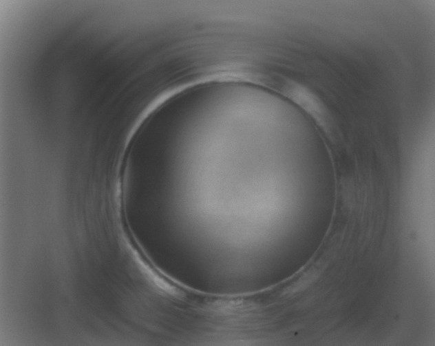 X0000082991428200702081822