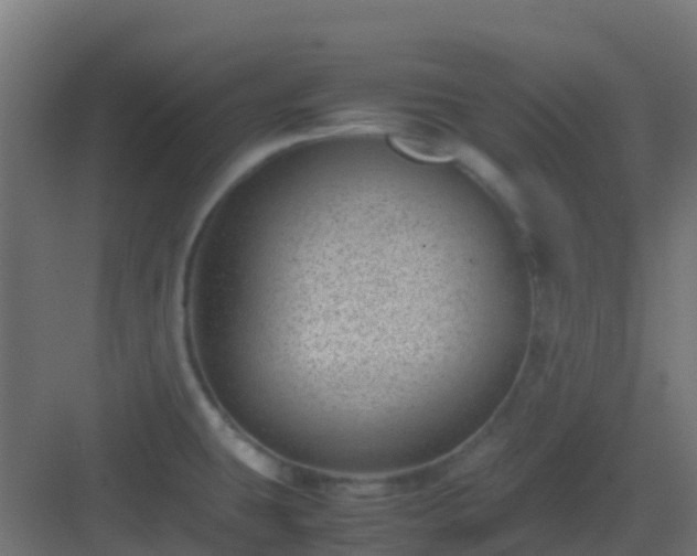 X0000082991431200702081823