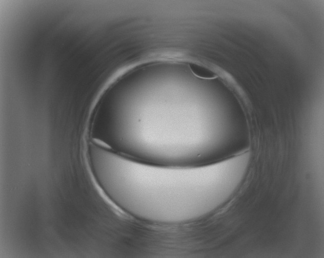 X0000082991432200702081823