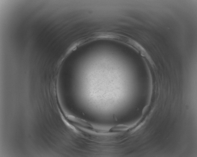 X0000082991433200702081823