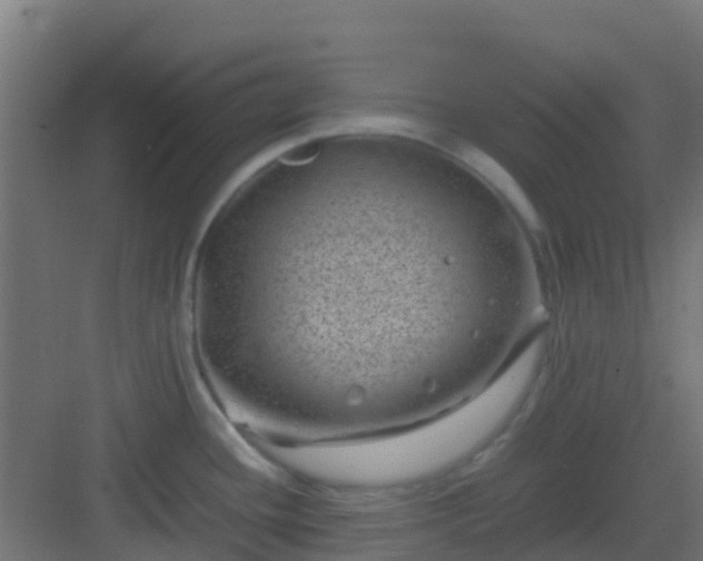 X0000082991436200702081823