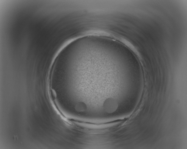 X0000082991440200702081823