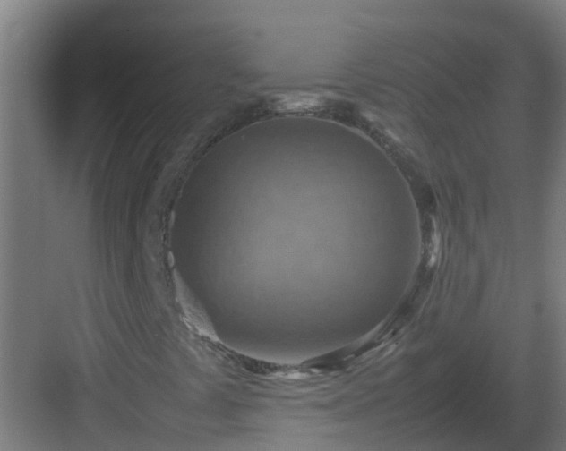 X0000082991441200702081822