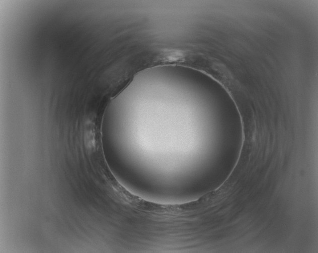 X0000082991442200702081822