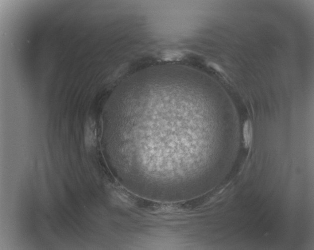 X0000082991443200702081822