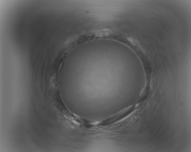 X0000082991445200702081822