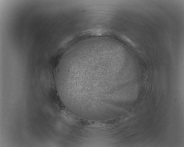 X0000082991446200702081822