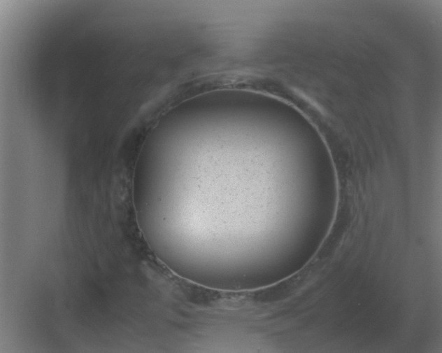 X0000082991447200702081822