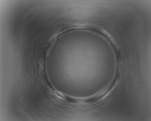 X0000082991449200702081822