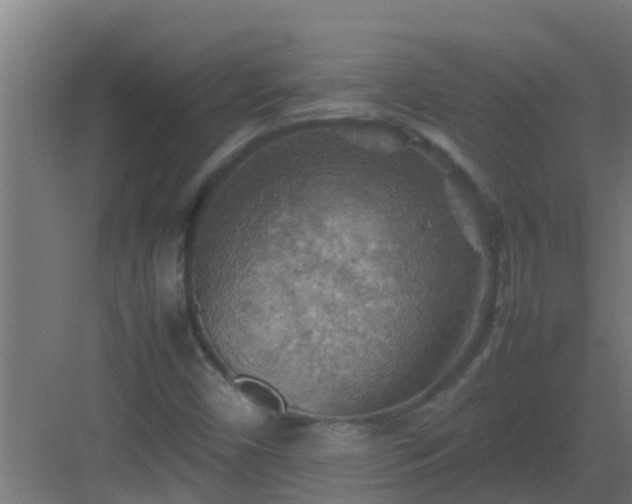 X0000082991450200702081822