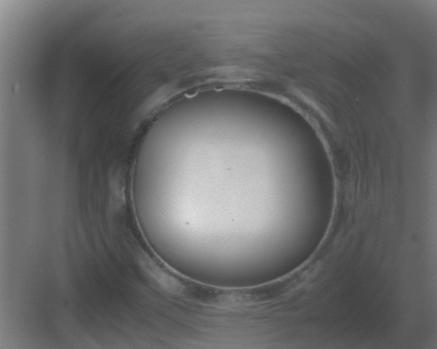 X0000082991451200702081822