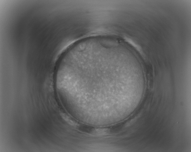 X0000082991453200702081822