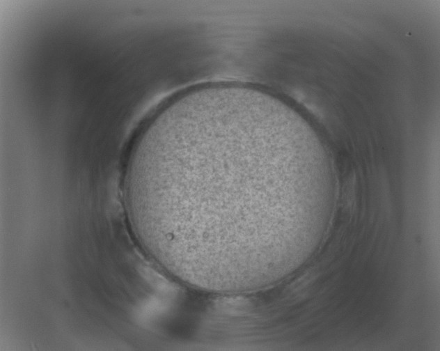 X0000082991454200702081822