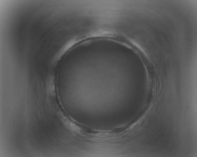 X0000082991455200702081822