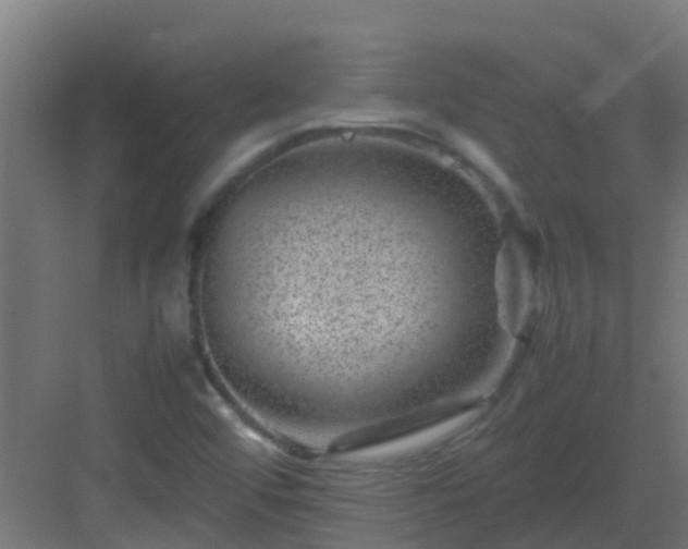 X0000082991456200702081822