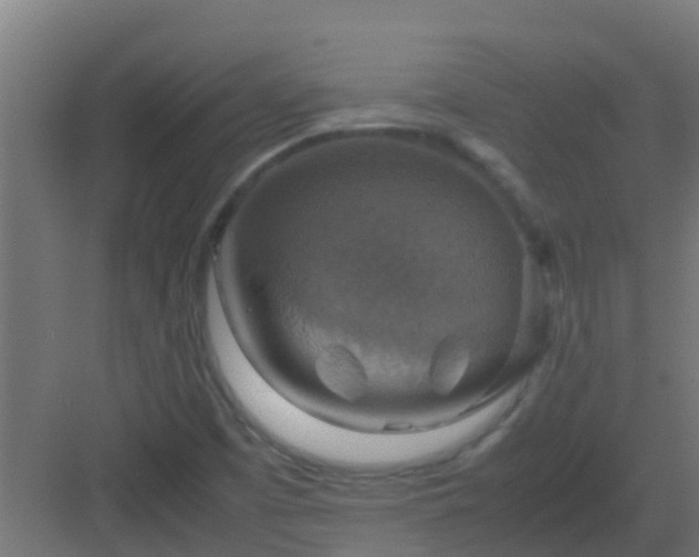 X0000082991457200702081822