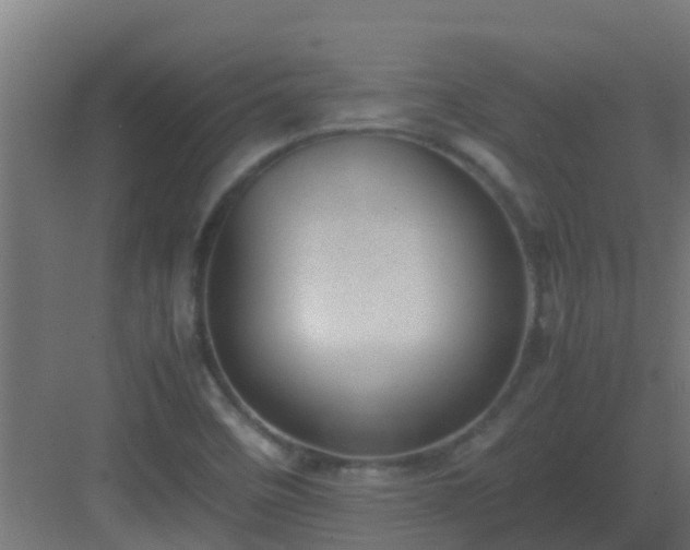 X0000082991458200702081822