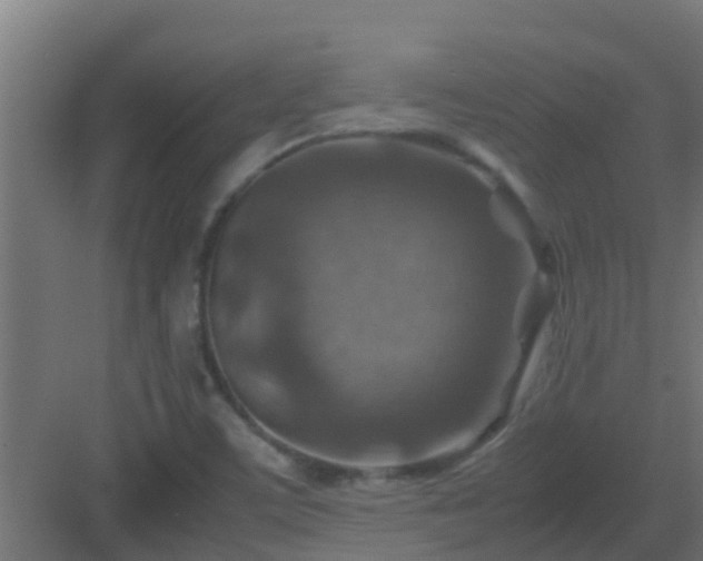 X0000082991459200702081822